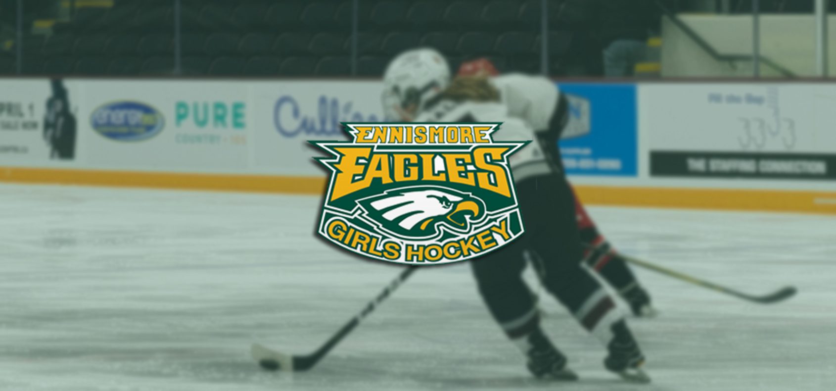 EnnismoreEagles banner | CalTek Design - Photographer | Bobcaygeon, ON