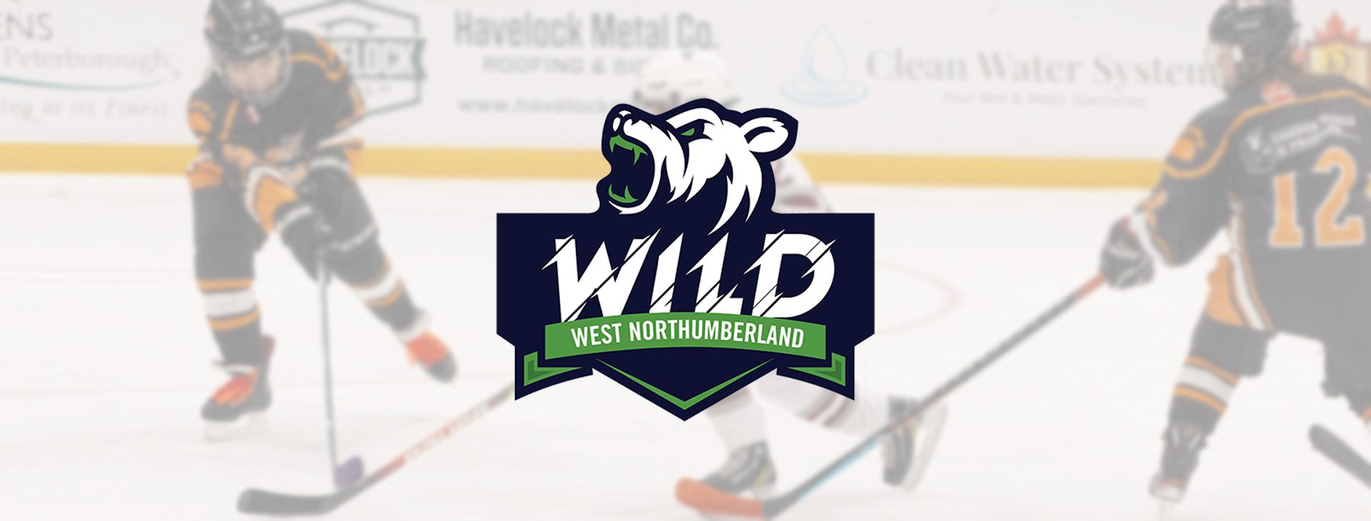 West Northumberland Wild | CalTek Design - Photographer | Kawartha Lakes, Peterborough, Haliburton County WestNorthumberlandWild banner | CalTek Design - Photographer | Kawartha Lakes, Peterborough, Haliburton County