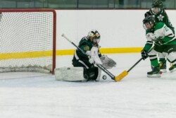 Kawartha Coyotes Team Packages | CalTek Design - Photographer | Kawartha Lakes, Peterborough, Haliburton County Millbrook Stars - Team Photo Packages