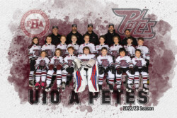 PHA Team Photo Packages | CalTek Design - Photographer | Kawartha Lakes, Peterborough, Haliburton County Peterborough Minor Hockey - Team Photo Packages