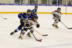 PHA Team Photo Packages | CalTek Design - Photographer | Kawartha Lakes, Peterborough, Haliburton County Peterborough Minor Hockey - Team Photo Packages