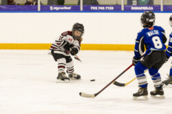 PHA Team Photo Packages | CalTek Design - Photographer | Kawartha Lakes, Peterborough, Haliburton County Peterborough Minor Hockey - Team Photo Packages