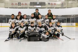 Millbrook Stars - Team Photo Packages | CalTek Design - Photographer | Kawartha Lakes, Peterborough, Haliburton County Hockey Team Photo Packages | CalTek Design - Haliburton, Kawartha Lakes and Peterborough