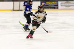 Millbrook Stars - Team Photo Packages | CalTek Design - Photographer | Kawartha Lakes, Peterborough, Haliburton County Millbrook Stars - Team Photo Packages