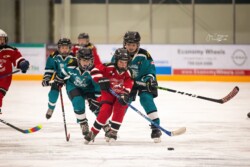 Lindsay Muskies Minor Hockey Photo Packages | CalTek Design - Photographer | Kawartha Lakes, Peterborough, Haliburton County Lindsay Muskies - Team Photo Packages