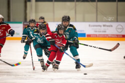 Lindsay Muskies Minor Hockey Photo Packages | CalTek Design - Photographer | Kawartha Lakes, Peterborough, Haliburton County Lindsay Muskies - Team Photo Packages