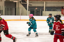 Lindsay Muskies Minor Hockey Photo Packages | CalTek Design - Photographer | Kawartha Lakes, Peterborough, Haliburton County Lindsay Muskies - Team Photo Packages