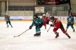 Lindsay Muskies Minor Hockey Photo Packages | CalTek Design - Photographer | Kawartha Lakes, Peterborough, Haliburton County Lindsay Muskies - Team Photo Packages