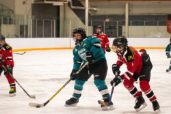 Lindsay Muskies Minor Hockey Photo Packages | CalTek Design - Photographer | Kawartha Lakes, Peterborough, Haliburton County Lindsay Muskies - Team Photo Packages