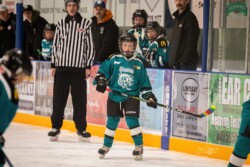 Lindsay Muskies Minor Hockey Photo Packages | CalTek Design - Photographer | Kawartha Lakes, Peterborough, Haliburton County Lindsay Muskies - Team Photo Packages