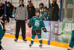 Lindsay Muskies Minor Hockey Photo Packages | CalTek Design - Photographer | Kawartha Lakes, Peterborough, Haliburton County Lindsay Muskies - Team Photo Packages