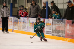 Lindsay Muskies Minor Hockey Photo Packages | CalTek Design - Photographer | Kawartha Lakes, Peterborough, Haliburton County Lindsay Muskies - Team Photo Packages