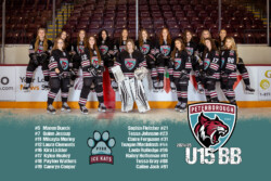 Peterborough Ice Kats | CalTek Design - Photographer | Kawartha Lakes, Peterborough, Haliburton County Peterborough Ice Kats | Team Photo Packages