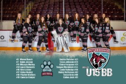 Central Ontario Wolves - Team Packages | CalTek Design - Photographer | Kawartha Lakes, Peterborough, Haliburton County Peterborough Ice Kats | Team Photo Packages