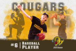 Baseball Packages | CalTek Design - Photographer | Kawartha Lakes, Peterborough, Haliburton County Baseball Photo Packages | CalTek Design