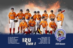 Baseball Packages | CalTek Design - Photographer | Kawartha Lakes, Peterborough, Haliburton County Sports Packages | CalTek Design - Photographer Bobcaygeon, ON