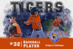 Baseball Packages | CalTek Design - Photographer | Kawartha Lakes, Peterborough, Haliburton County Baseball Photo Packages | CalTek Design