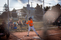 Baseball Packages | CalTek Design - Photographer | Kawartha Lakes, Peterborough, Haliburton County Baseball Photo Packages | CalTek Design