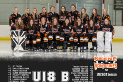 Keene Wolverines | CalTek Design - Photographer | Kawartha Lakes, Peterborough, Haliburton County Keene Wolverines | Team Photo Packages