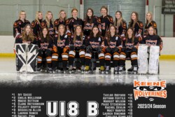 Keene Wolverines | CalTek Design - Photographer | Kawartha Lakes, Peterborough, Haliburton County Keene Wolverines | Team Photo Packages